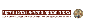 מכון וולקני